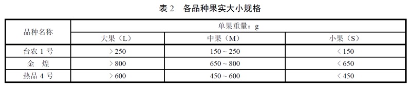 表2.jpg