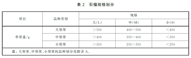 表2.jpg