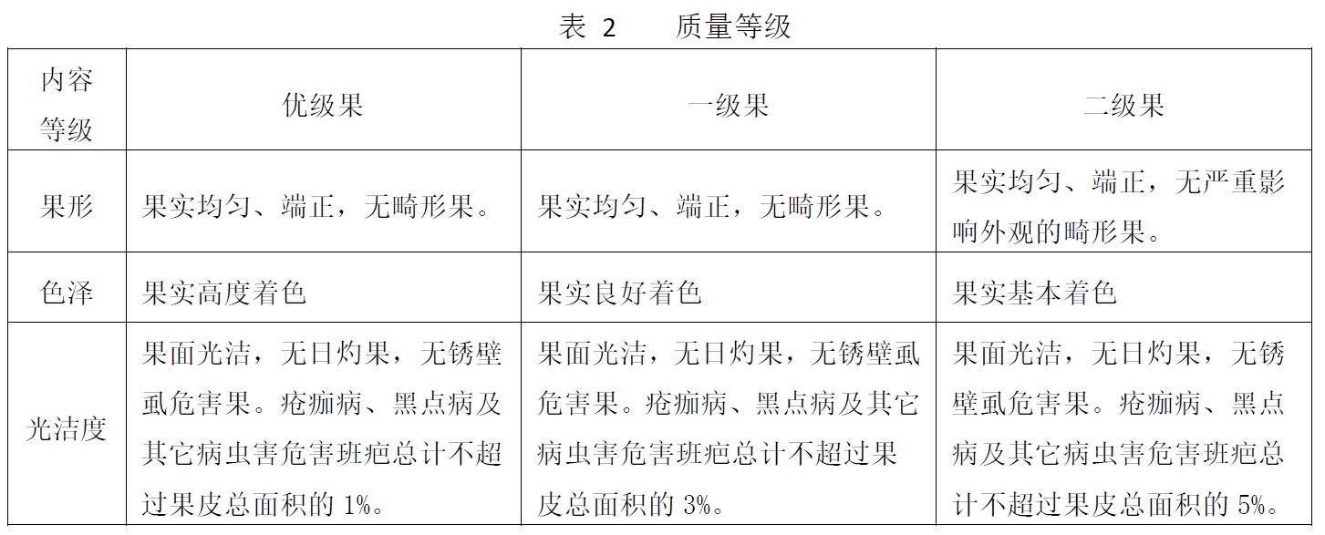 表2.jpg